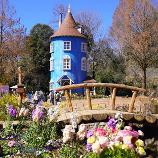 桜と北欧の世界に包まれる一日 – ムーミンバレーパークで過ごす、とっておきの春時間 ―